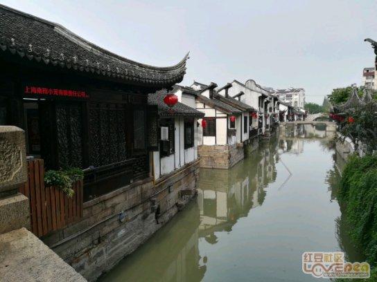 有什么营养价值极高但是很少人知道的食物?知识问答网页-快速解答您的问题